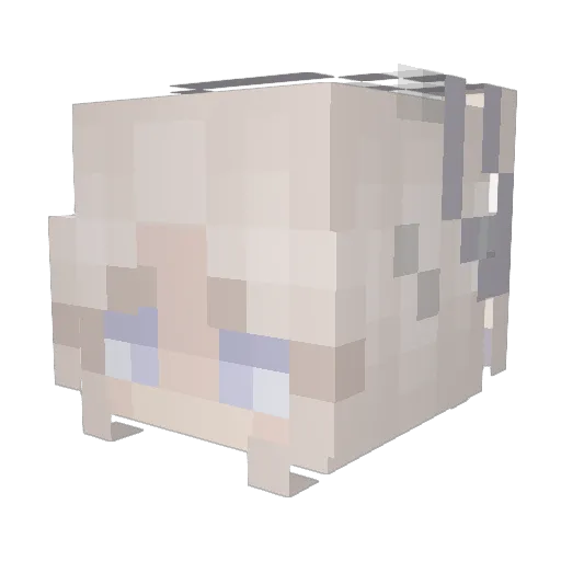 dariusoderso Minecraft avatar head, 3D render