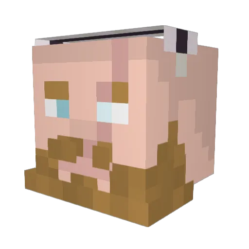 dark979 Minecraft avatar head, 3D render