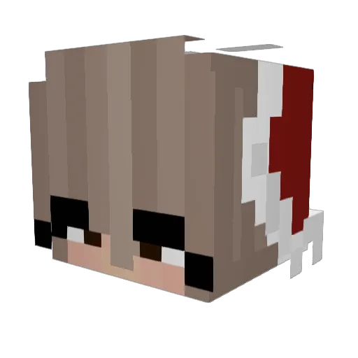 darkPizzaLp Minecraft avatar head, 3D render