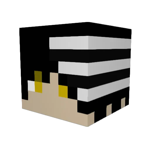 dark_Meter Minecraft avatar head, 3D render