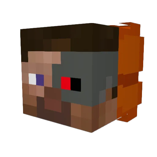 dark_diamond821 Minecraft avatar head, 3D render