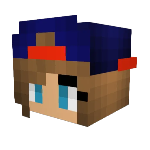 dark_princess_ Minecraft avatar head, 3D render