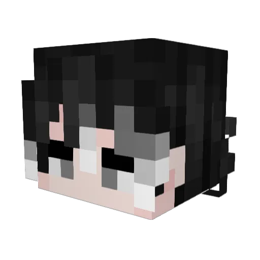 dark_void2248 Minecraft avatar head, 3D render