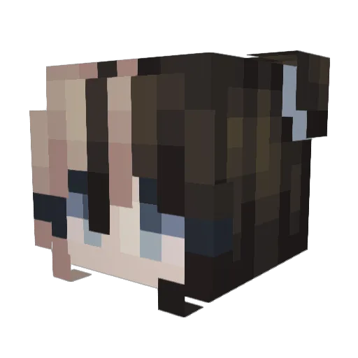 darkangel1 Minecraft avatar head, 3D render