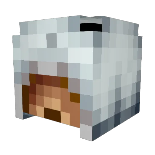darkblade3330 Minecraft avatar head, 3D render