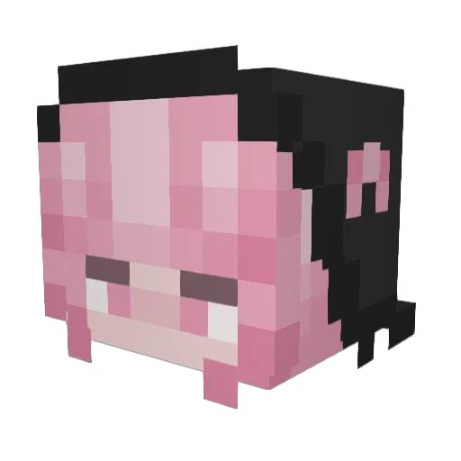 darkbluebob Minecraft avatar head, 3D render