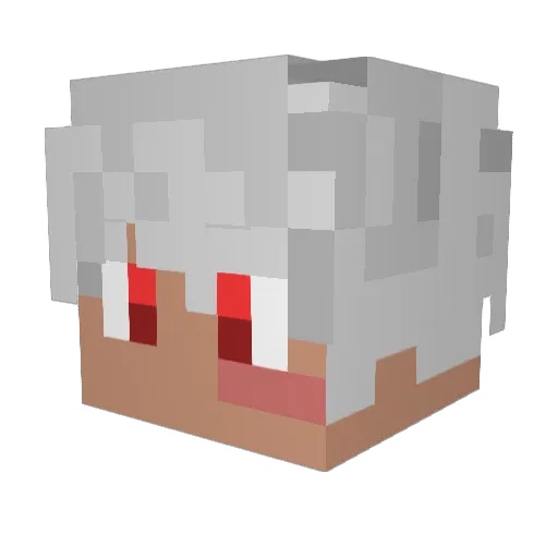 darkcat8 Minecraft avatar head, 3D render