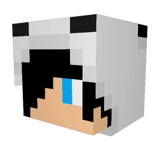 darkelfbg Minecraft avatar head, 3D render