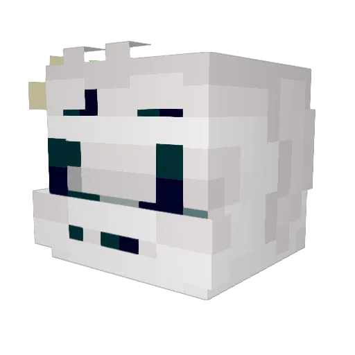 darker_Lord Minecraft avatar head, 3D render