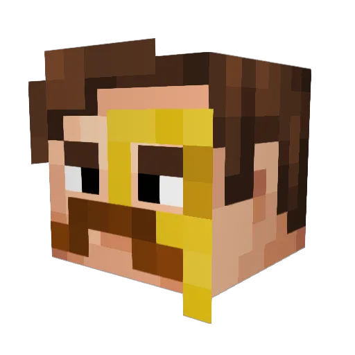 darkfire2208 Minecraft avatar head, 3D render