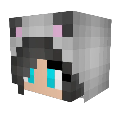 darkflamemasta Minecraft avatar head, 3D render