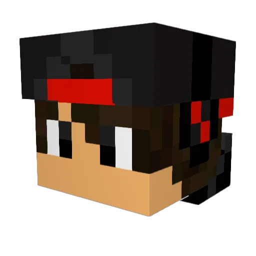 darkgamer1234 Minecraft avatar head, 3D render
