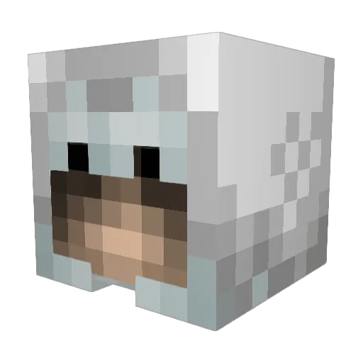 darkghost55 Minecraft avatar head, 3D render