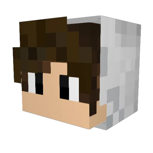 darkgrayxd Minecraft avatar head, 3D render