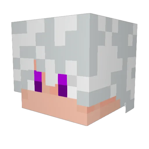 darkinhoboy Minecraft avatar head, 3D render
