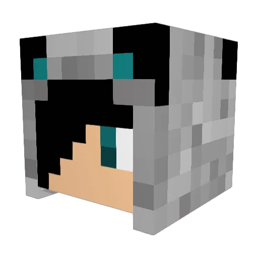 darkkid1446 Minecraft avatar head, 3D render