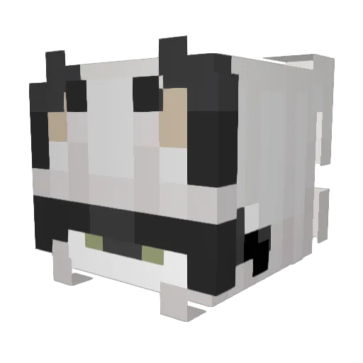 darkkkeyn Minecraft avatar head, 3D render