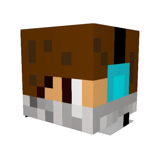 darkknight285 Minecraft avatar head, 3D render