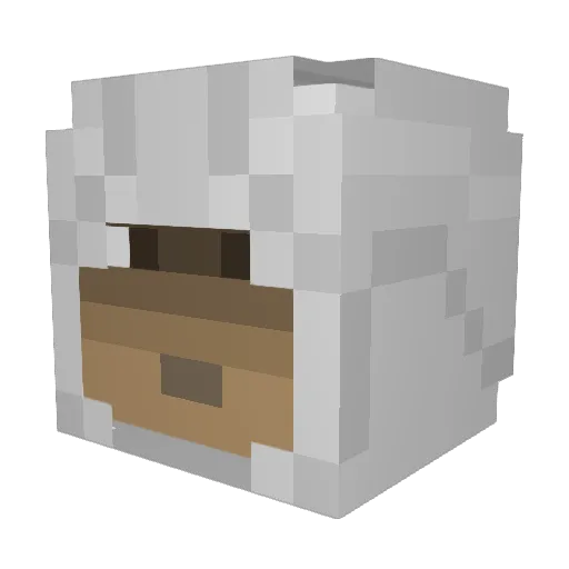 darklord1307 Minecraft avatar head, 3D render