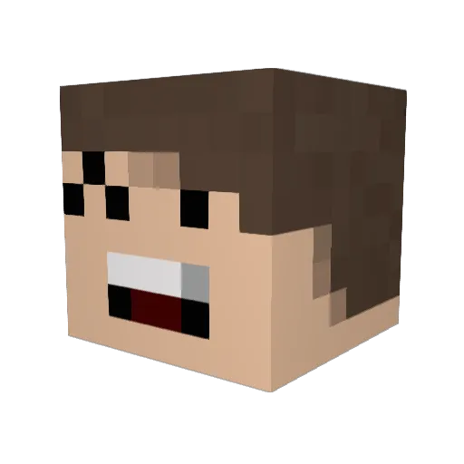 darkludo25 Minecraft avatar head, 3D render