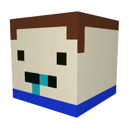 darkman5431 Minecraft avatar head, 3D render