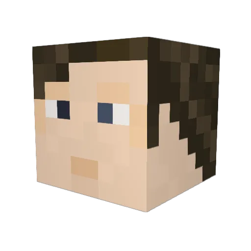 darknavi Minecraft avatar head, 3D render