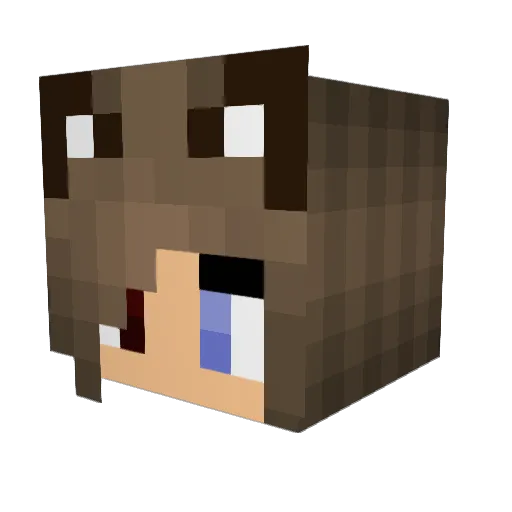 darkness107 Minecraft avatar head, 3D render