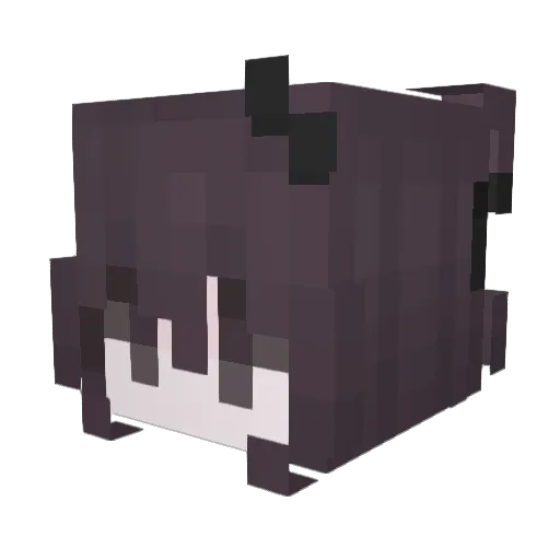 darknessraq Minecraft avatar head, 3D render