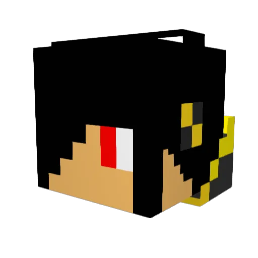 darknight100000 Minecraft avatar head, 3D render