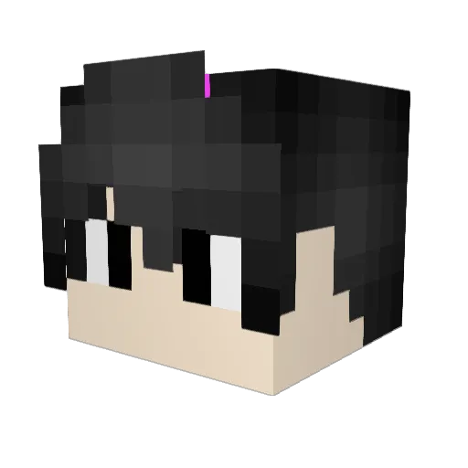 darknight66617 Minecraft avatar head, 3D render