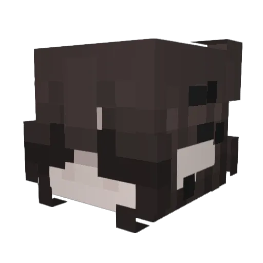 darknightsgf Minecraft avatar head, 3D render