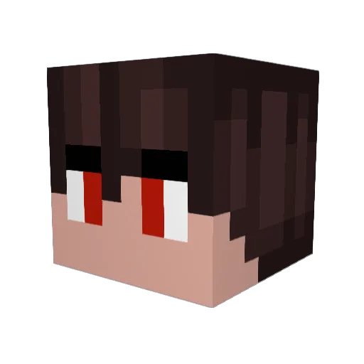 darkninja13371 Minecraft avatar head, 3D render