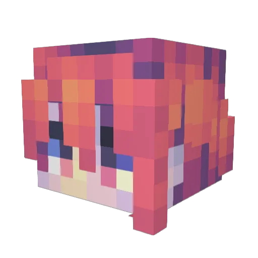 darkninja612 Minecraft avatar head, 3D render