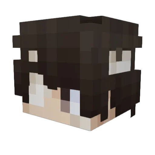 darkpat Minecraft avatar head, 3D render
