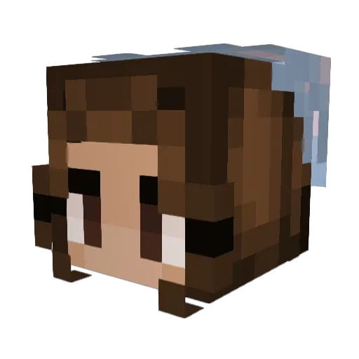 darkpheonixrose Minecraft avatar head, 3D render