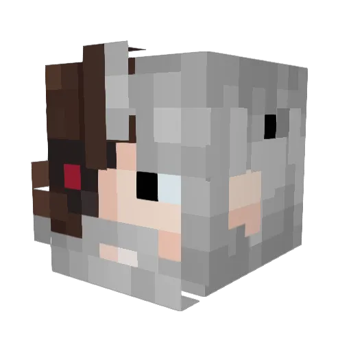 darksassin2 Minecraft avatar head, 3D render