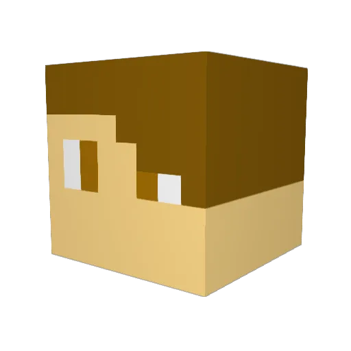 darkseid1215 Minecraft avatar head, 3D render