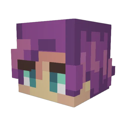 darkseidtoast Minecraft avatar head, 3D render