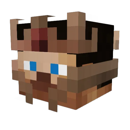 darkslayer201 Minecraft avatar head, 3D render
