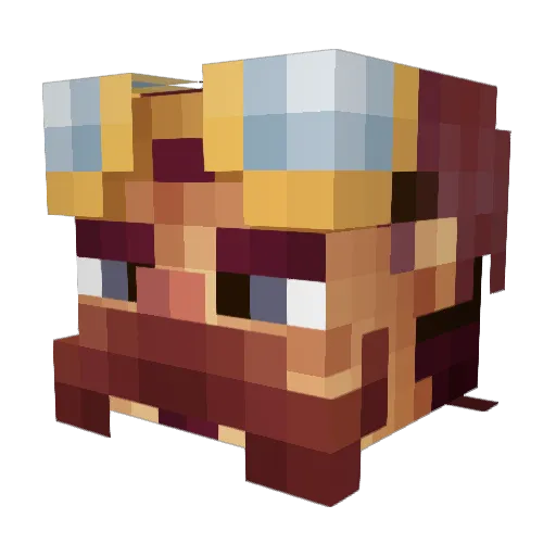 darkstar1234 Minecraft avatar head, 3D render