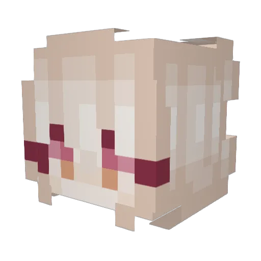darkstar991 Minecraft avatar head, 3D render