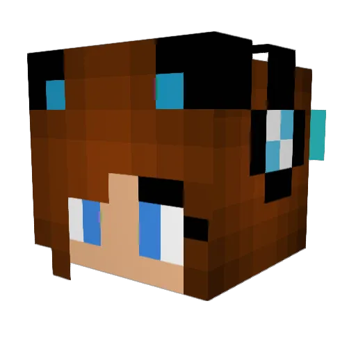 darktoad Minecraft avatar head, 3D render