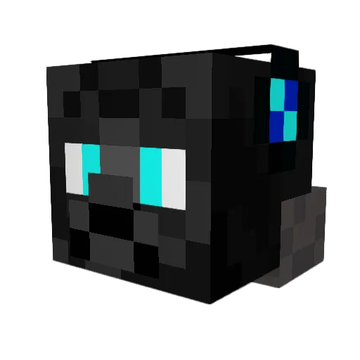 darkwollfgamer Minecraft avatar head, 3D render