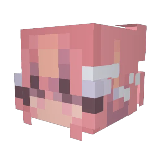 darlinggbella Minecraft avatar head, 3D render