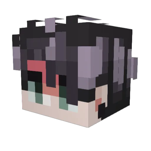 darnick2 Minecraft avatar head, 3D render