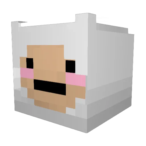 darrenwilla73 Minecraft avatar head, 3D render
