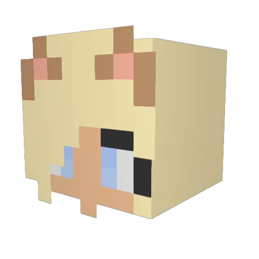 darrienbxtch Minecraft avatar head, 3D render