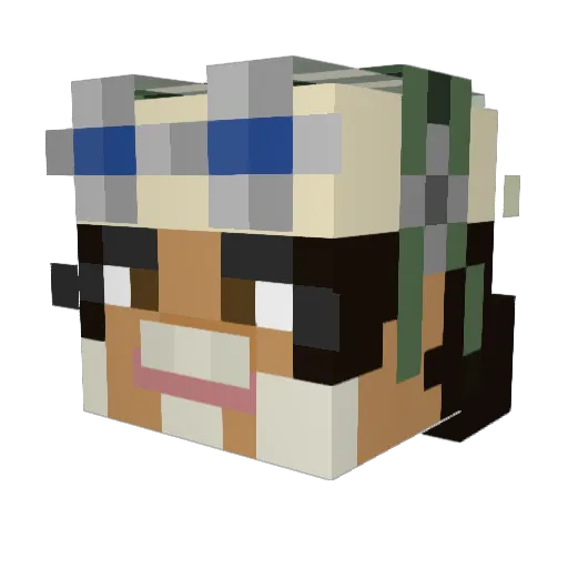 dartboards Minecraft avatar head, 3D render