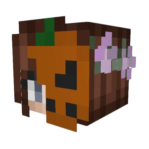 darthbeep Minecraft avatar head, 3D render
