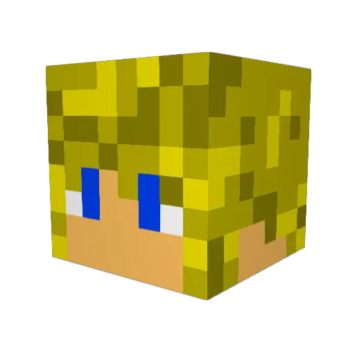 darthbudx24 Minecraft avatar head, 3D render